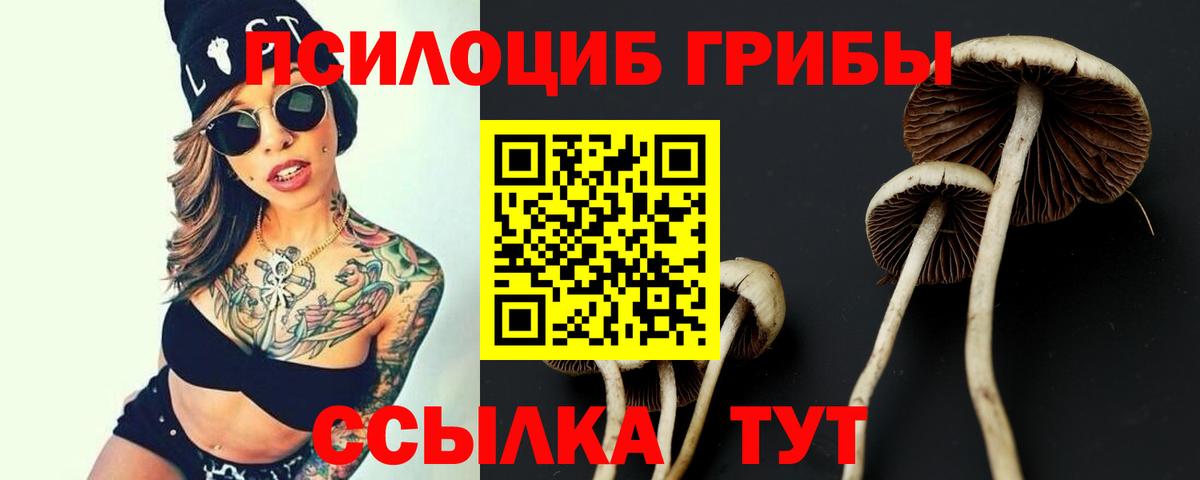 цены наркотик  Вход с VPN  Людиново  Псилоцибиновые грибы Psilocybe 